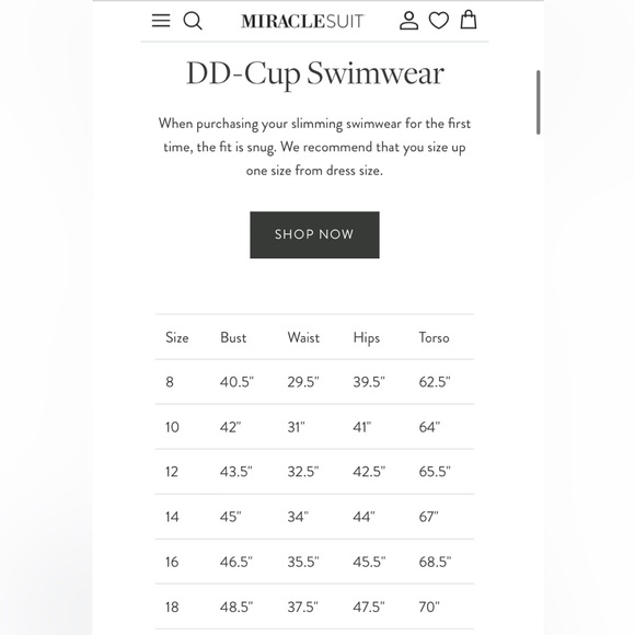 Miraclesuit Horizon One Piece Slimming Swimsuit Tummy Control Size 10 DD - Picture 8 of 8